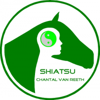 logo286_380f61073ea1871eb46f328820a2471b Belgische Shiatsu Federatie - Chantal Van Reeth