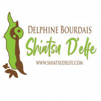 logo310_21e7434c151324c2cd46d0eb6d924501 Belgische Shiatsu Federatie - Delphine Bourdais