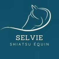 logo717_f9709c8101b56f4101c78195e79d3202 Belgische Shiatsu Federatie - Selvie Murat